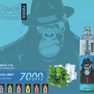 Randm Tornado 7000 Puffs Disposable Vape|  Cool MintRANDMTORNADO7000 15