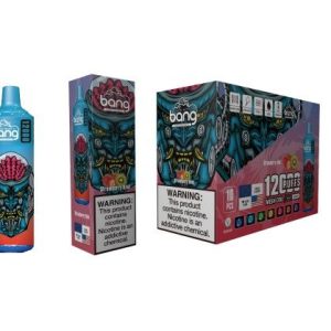 Durván 12000 Puffs egy ízléses és stílusú görögdinnye ICE2