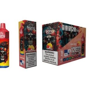 BANG XXL NT15000 PUFFS Long-Lasting Disposable Vape Mint Ice7